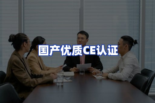 国产优质CE认证
